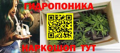 spice Нягань