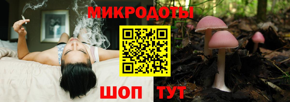 Псилоцибиновые грибы ЛСД  Вход с VPN  Сальск  Галлюциногенные грибы мухоморы 